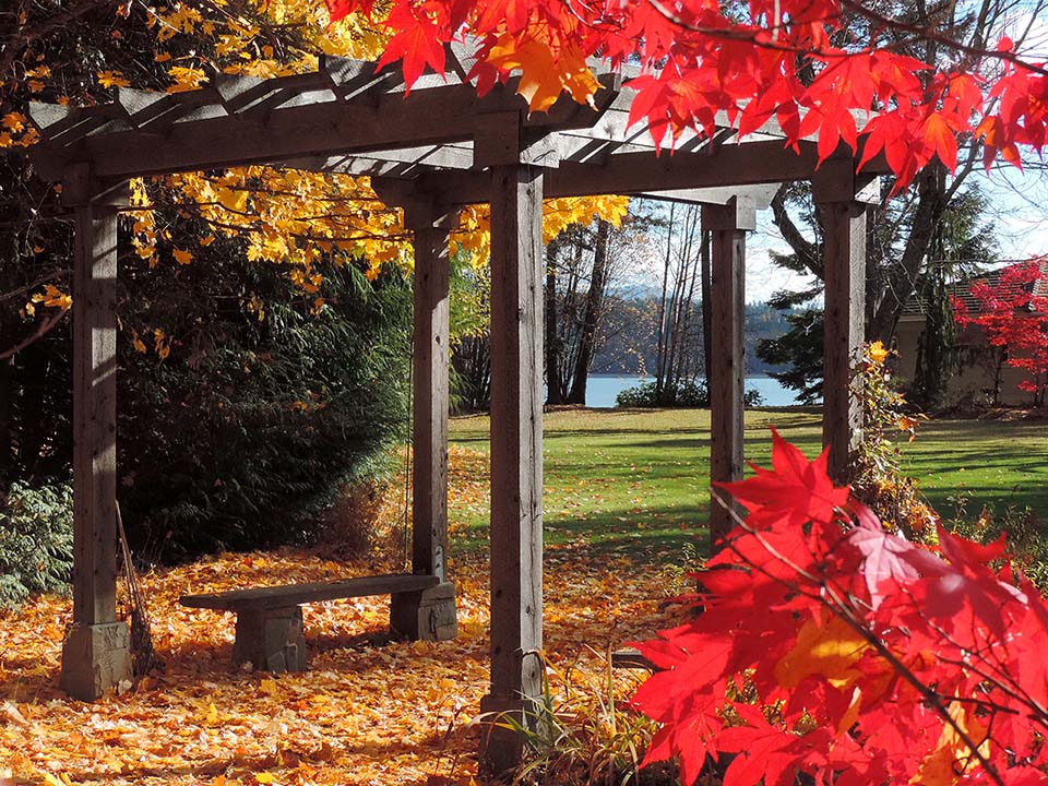 Garden Pergola in the Fall