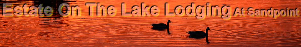 Title Banner- Lake View of Sunset with Geese